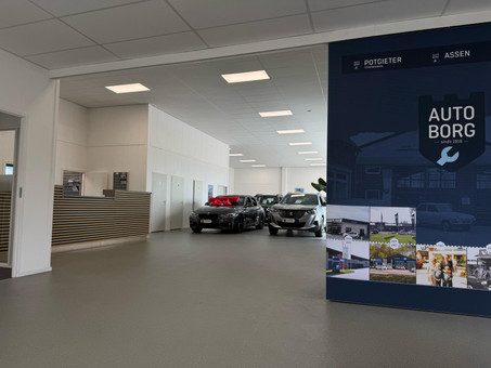 Bosch Car Service Autoborg